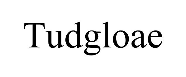 Trademark Logo TUDGLOAE