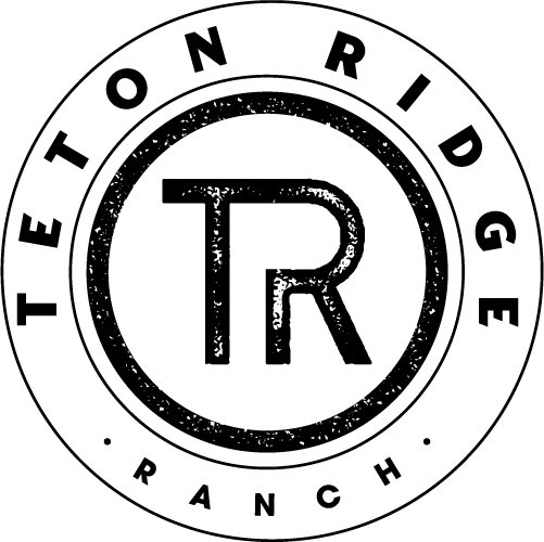 Trademark Logo TR TETON RIDGE RANCH
