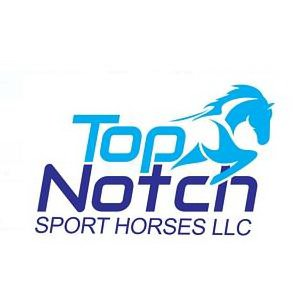  TOP NOTCH SPORT HORSES LLC