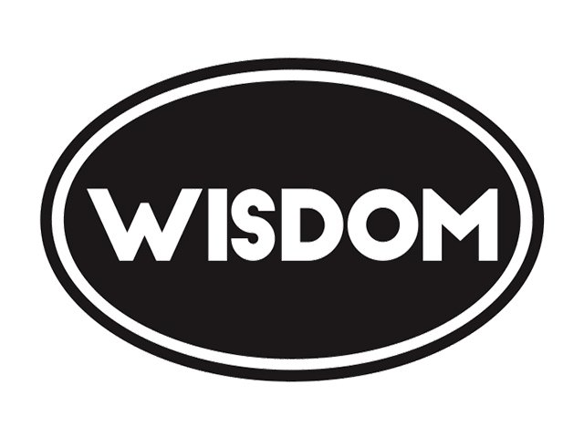 Trademark Logo WISDOM