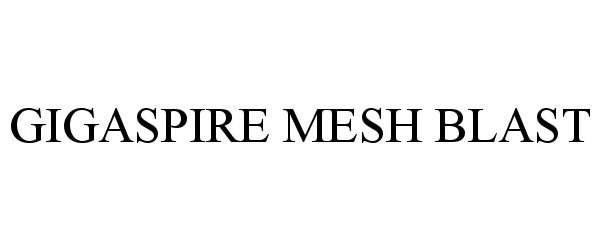  GIGASPIRE MESH BLAST