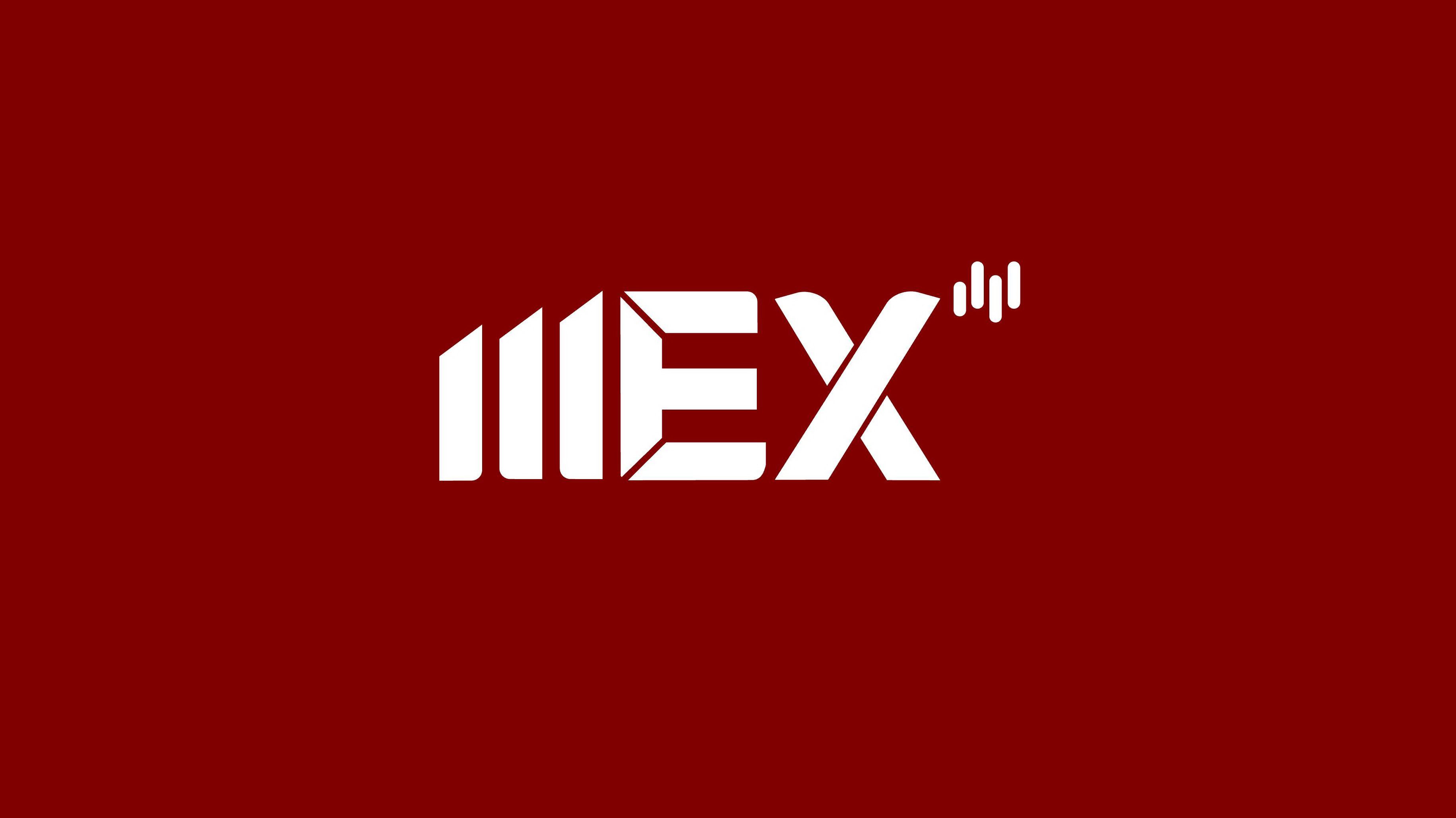 Trademark Logo EX