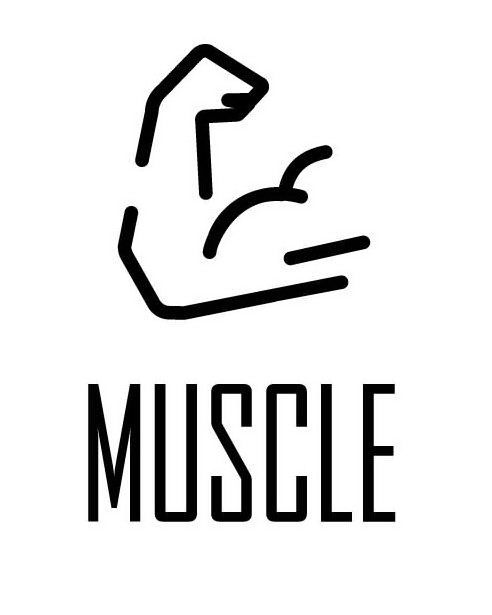 Trademark Logo MUSCLE