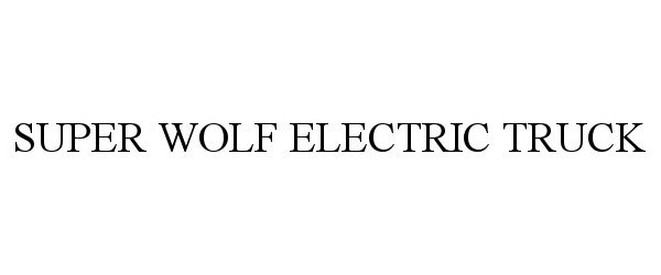  SUPER WOLF ELECTRIC TRUCK