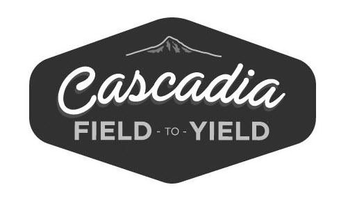  CASCADIA FIELD TO YIELD