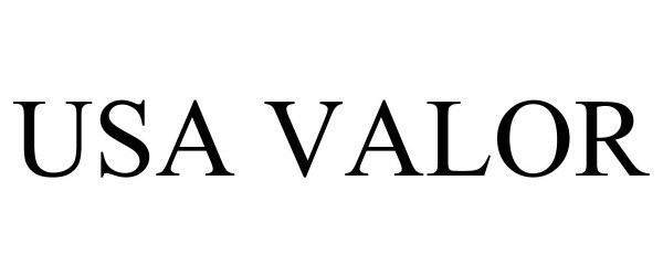 Trademark Logo USA VALOR