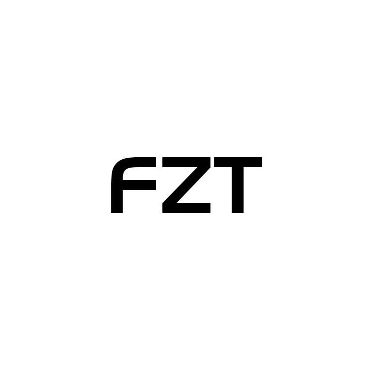  FZT