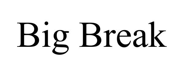 Trademark Logo BIG BREAK
