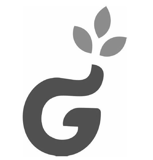 Trademark Logo G