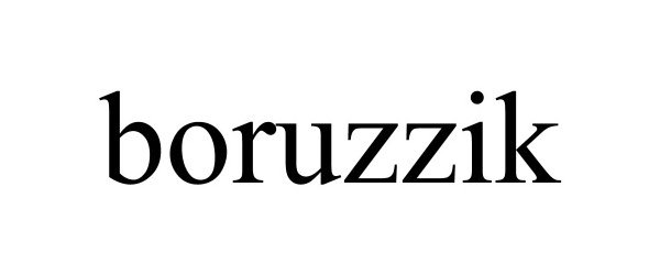 Trademark Logo BORUZZIK