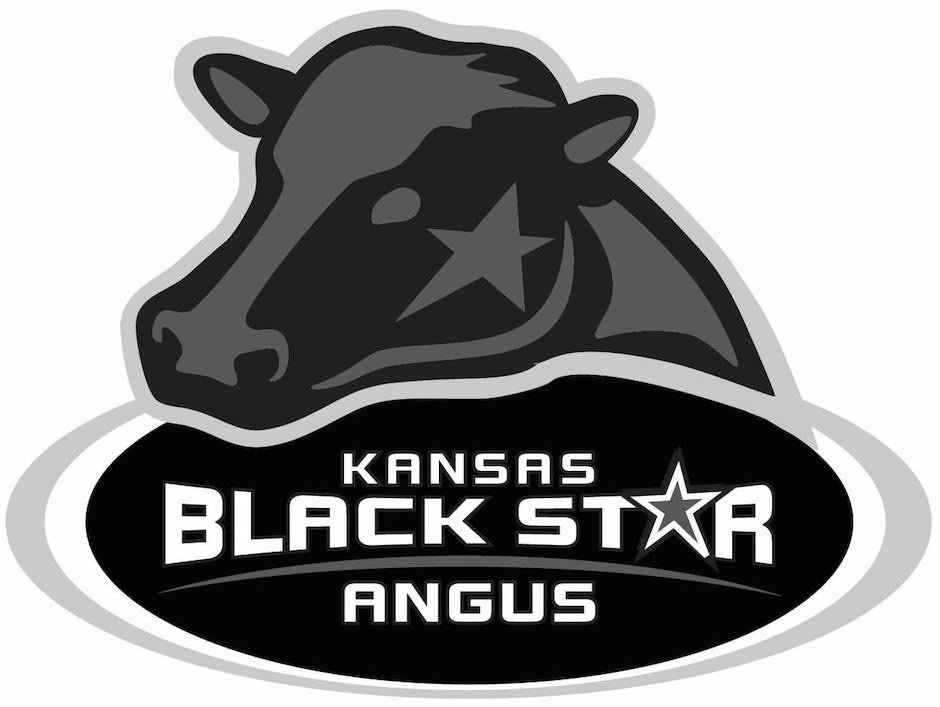 Trademark Logo KANSAS BLACK STAR ANGUS