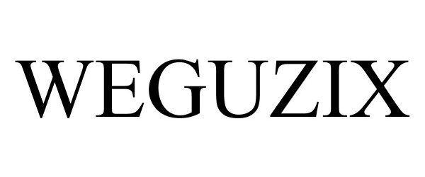  WEGUZIX