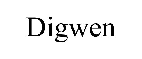  DIGWEN