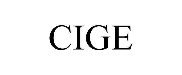  CIGE