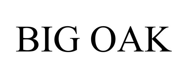 Trademark Logo BIG OAK