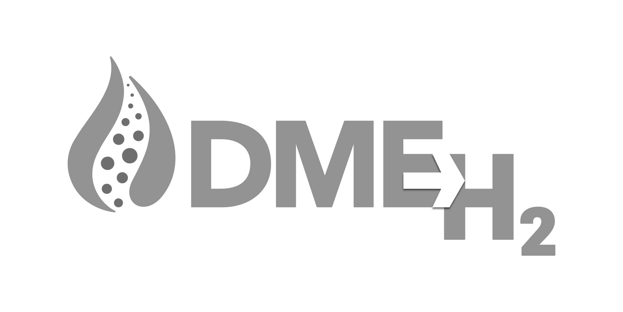 Trademark Logo DMEH2