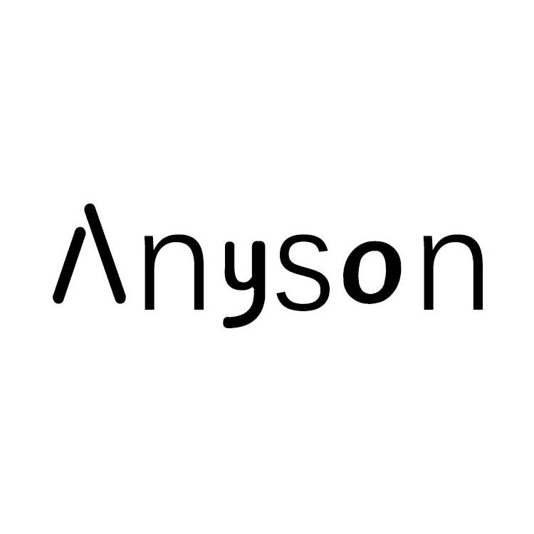  ANYSON