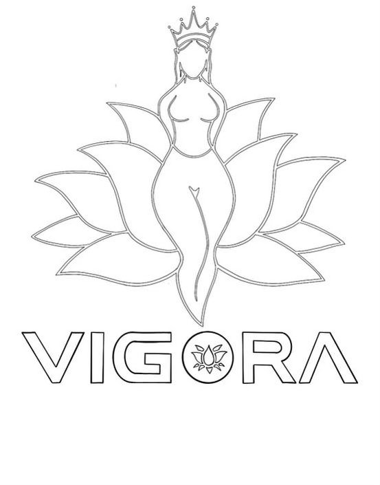 Trademark Logo VIGORA