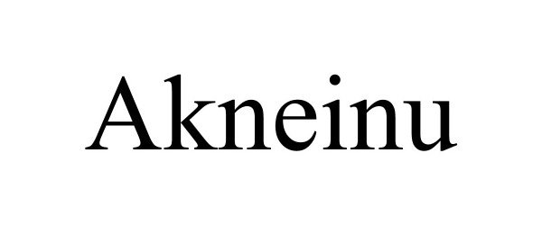 Trademark Logo AKNEINU