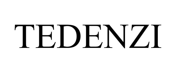 Trademark Logo TEDENZI