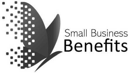 Trademark Logo SMALL BUSINESS BENEFITS