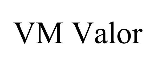  VM VALOR