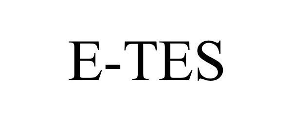  E-TES