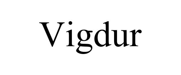 Trademark Logo VIGDUR