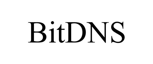 Trademark Logo BITDNS