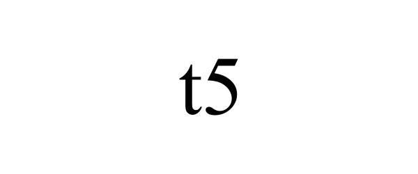  T5