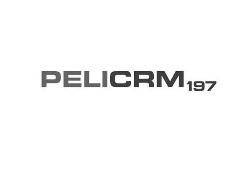  PELICRM197