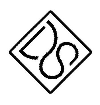 Trademark Logo DS