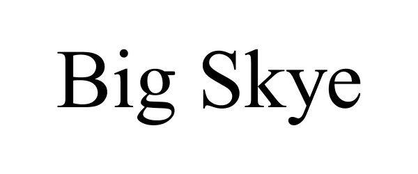 Trademark Logo BIG SKYE