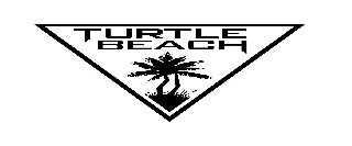  TURTLE BEACH