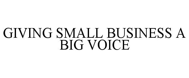  GIVING SMALL BUSINESS A BIG VOICE
