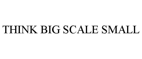 Trademark Logo THINK BIG SCALE SMALL