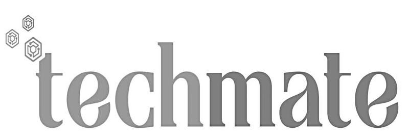 Trademark Logo TECHMATE