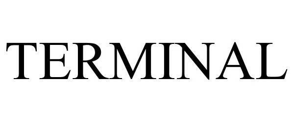 Trademark Logo TERMINAL