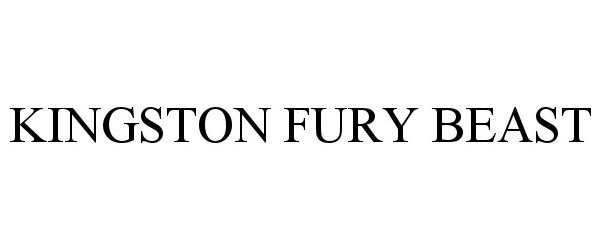  KINGSTON FURY BEAST