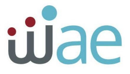 Trademark Logo WAE