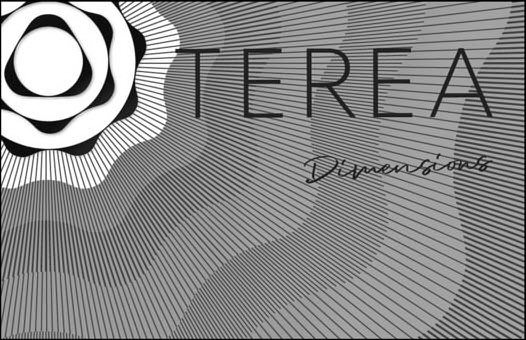 Trademark Logo TEREA DIMENSIONS