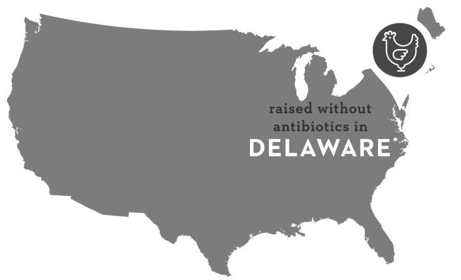  RAISED WITHOUT ANTIBIOTICS IN DELAWARE