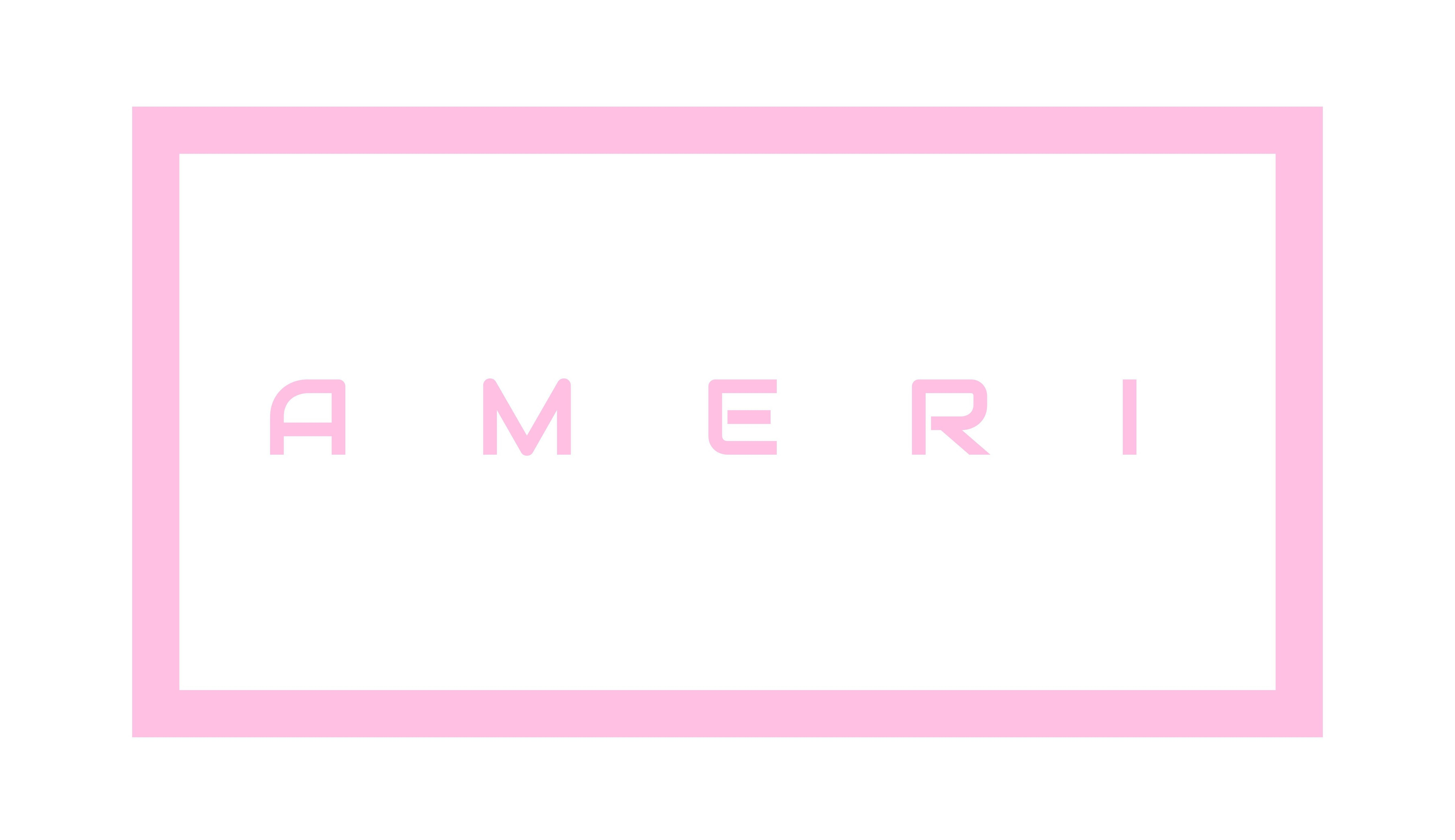 Trademark Logo AMERI