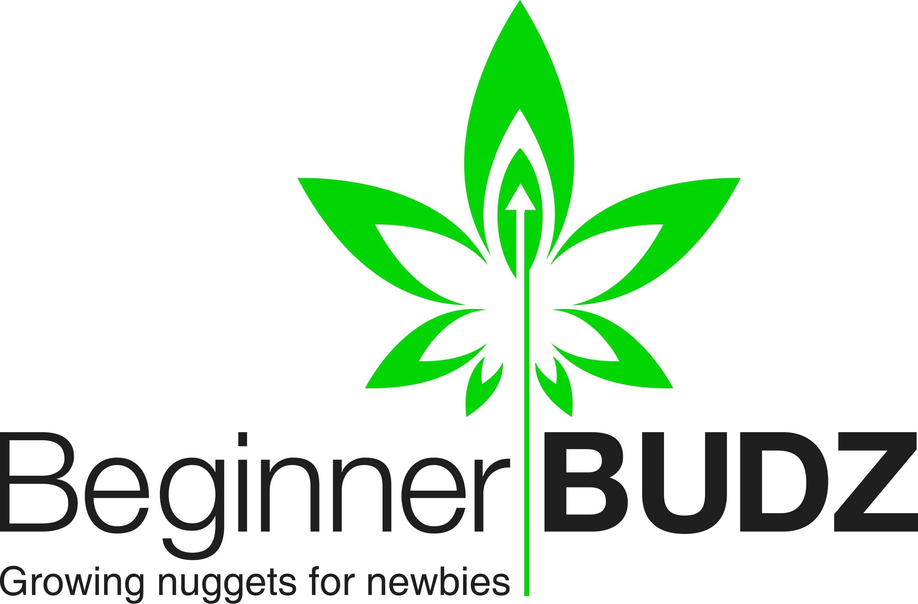  BEGINNER BUDZ , GROWING NUGGETS FOR NEWBIES