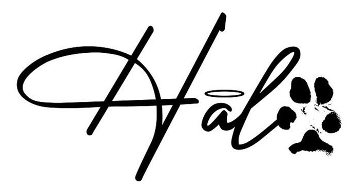Trademark Logo HALO