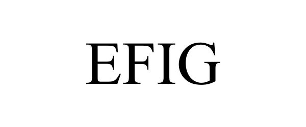  EFIG