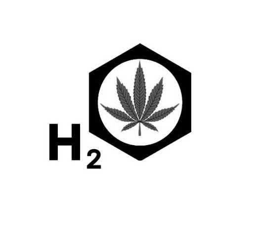 Trademark Logo H2