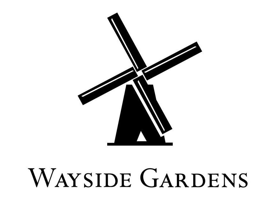  WAYSIDE GARDENS