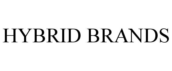  HYBRID BRANDS