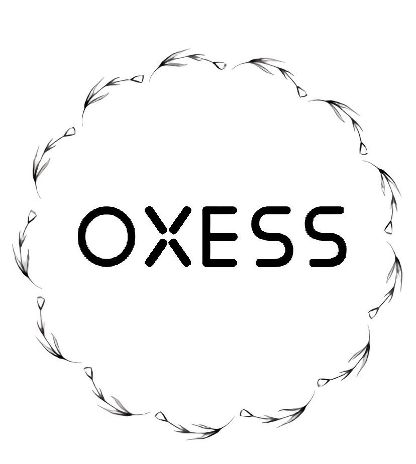 Trademark Logo OXESS